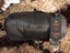 Cabela-039-s-XPG-30-Degree-Lightweight-Mummy-Sleeping-Bag-Regular