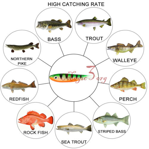 Details about / 4x Paddle Tail For Saltwater Freshwater Shad Minnow Dropshot Soft Plastic Lures