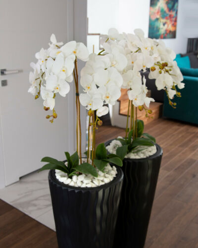 Künstliche Orchideen im schwarzen Hochtopf weiß Gesteck Kunstpflanze H 140cm 
