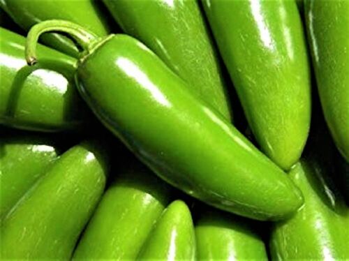 SEEDS -BUY 4 ITEMS FREE SHIPPING Hot Pepper Seeds Jalapeno Tam 50