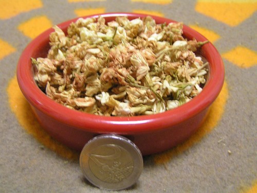 Jasminblüten 10 g Jasmin Blüten 100g//10,-€ Jasmin,
