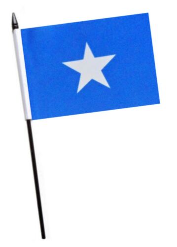 Somalia Small Hand Waving Flag