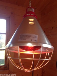 View Heat Lamp For Puppies Argos Gif