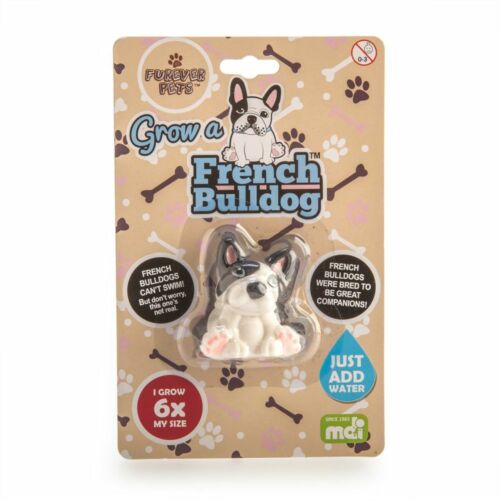 Details about   Grow Your Own French Bulldog Kids Adult Present Novelty Gift Stocking Filler Toy 