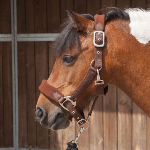 Vente Equestrian Horse Bridle Fleece Licou /& Free Leadrope Set complet Cob Poney