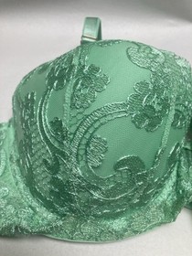 Victoria’s Secret Dream Angel Lightly Lined Embroidered Bra Size 34 DDD