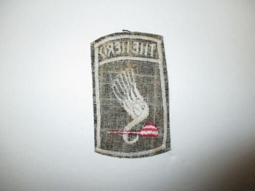 b5751 US Army Vietnam Airborne 173rd The Herd with pipe patch IR38E