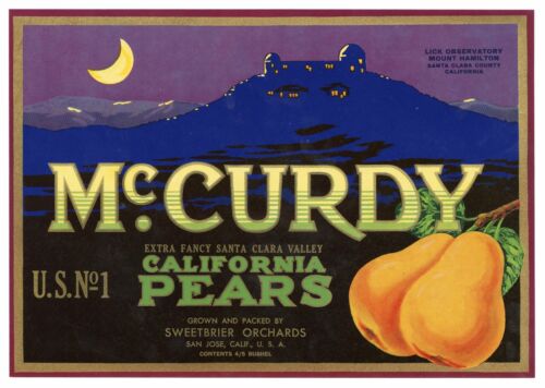 Lick Observat Fruit Crate Label || San Jose Vintage Unused McCURDY Brand Pear 