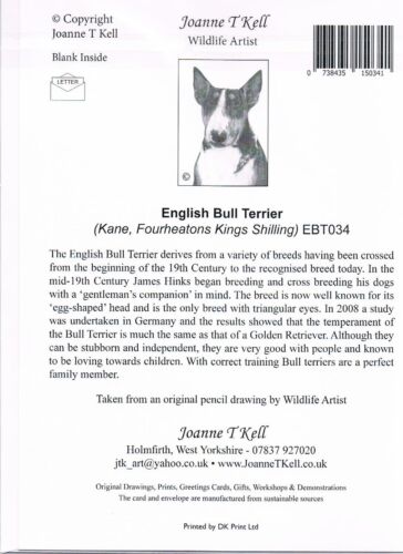Bull Terrier inglés /"bully/" cerrar tarjeta de saludos-desde Dibujo Original