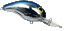Details about / Bandit Shallow Flat Max fishing lures original range of colors