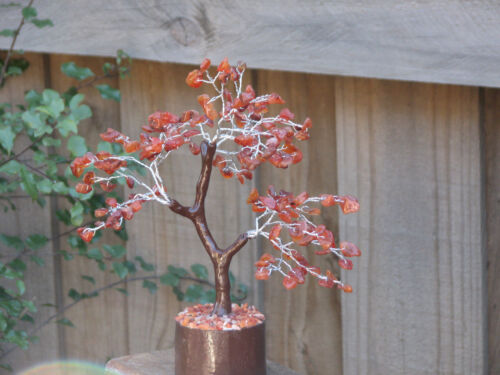 Crystal Chips Wooden Base 240mm Tall Large Carnelian Crystal Gemstone Tree