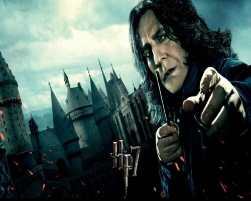 Harry Potter Severus Snape Painting Art Artwork Paint By Numbers Kit DIY 