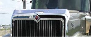 International 9900 Hood Stainless Steel Bug Shield