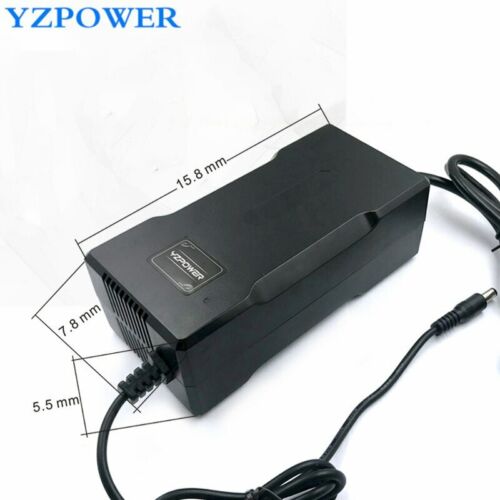 Chargeur intelligent de batterie au Lithium de YZPOWER CE ROHS 54.6V 4A pour 