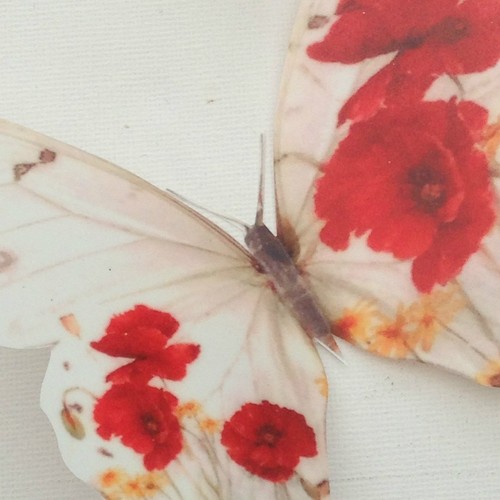 Butterfly Poppy Decorations 4 Sizes 3D Red Flower Poppy Butterflies Wedding Home