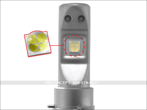 DAMA Kanji Lux Vision LED HEADLIGHT//FOGLIGHT KIT 6000K 8,000 lm H11 2 Bulbs