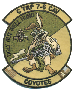 US Army C Troop 7-6 Cav Coyotes Desert Patch 