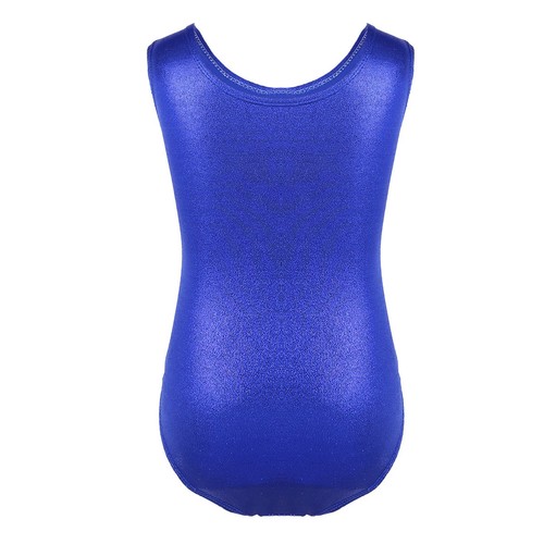 Girls Kids Gymnastics Leotard Ballet Dance Dress Tutu Skirt Dancewear Costumes