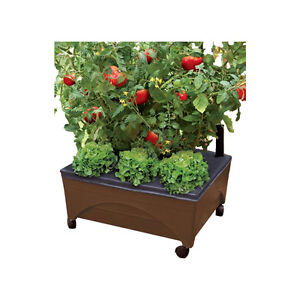2-Gallon Self-Watering Patio Deck Tomato Vegetable Raised 