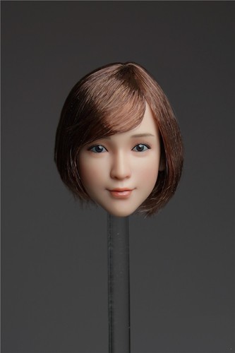 1//6 Female Head Sculpt SHORT Hair For 12/" PHICEN Hot Toys Verycool Figure ❶USA❶