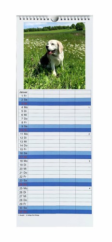 Papier Buro Schreibwaren Kalender 21 Familienplaner Bastelkalender Xl Zum Selber Gestalten Hohe 52 5 Cm Buro Schreibwaren Babyleu Com Br