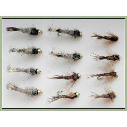 12 Pack goldhead Lièvres Oreille /& Pheasant Tail Nymph Fly 14//16 Goldhead Truites Mouches