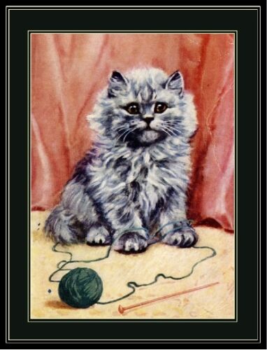 Picture Persian Kitten Cat Art Print