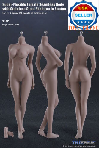1//6 PHICEN S12D Female Seamless SUNTAN Figure Body L Bust Steel Skeleton TBL USA