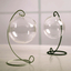 UK Hanging Ball Glass Flower Planter Vase Terrarium Container Landscape Bottles