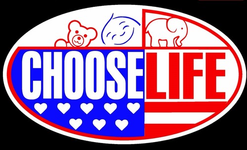 BUMPER Auto Magnet /" CHOOSE LIFE/" Donald Trump 3.5/" x 6/"