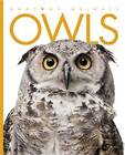 Owls by Valerie Bodden (Paperback / softback, 2013)
