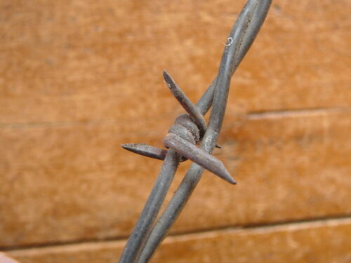 CURTIS 4-POINT HALF ROUND RED BARBS on ONE of TWO LINES ANTIQUE BARBED WIRE 
