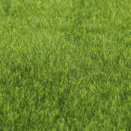 Fake Simulation Faux Moss Grass Moss Lichen Green Plants Artificial Moss Decor 