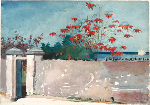 A Wall Nassau Winslow Homer Watercolor Reproductions Fine Art Print
