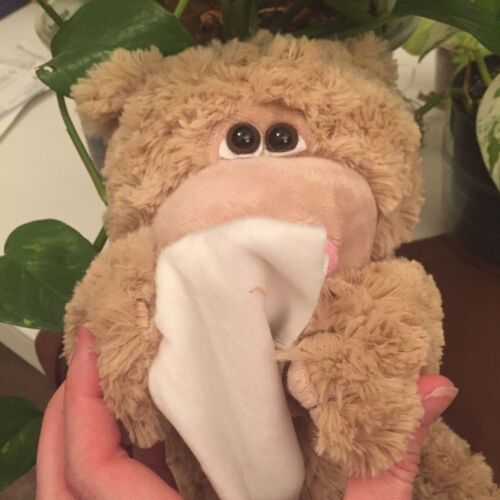 Sick Teddy Bear Cold Get Well Soon Sneeze Flu Tissue Stuffed Animal 12" WR17208 