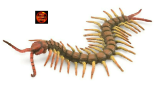 Centipede Insect Toy Model Figure 88885 by CollectA New for 2020