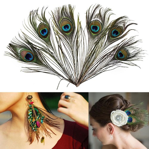 20 natürliche Peacock Tail Eyes Haar für Fliegenbinden Streamer Lachs Fliegen ZP