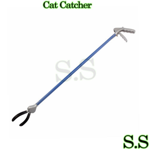40" Cat Catcher Stick Blue Color 