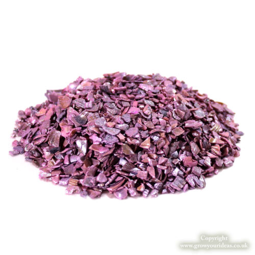 Rose Pink Crushed Seashells  crafts and terrarium projects100g2-6mm