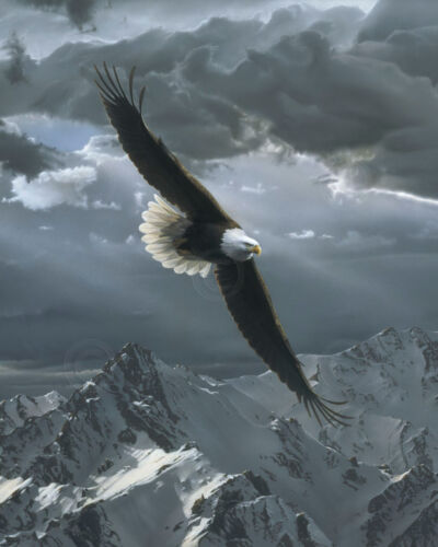 Sacred Heights EAGLE ART PRINT detail by Daniel Smith Wildlife Poster 11x14
