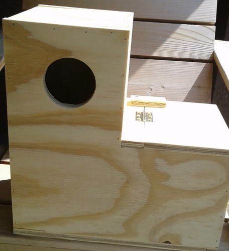 14/"x14/"x7/" 7/"toe Boot nest box parakeet conure parrot