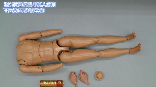 DID 80146 1//6th German Army Paratrooper Green Devil Schmelin Body Model for 12/"