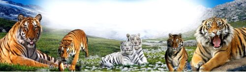 FREE TIGERS ART POSTER //BANNER  PICTURE PERSONALIZED  W// YOUR NAME 30X8.5/"