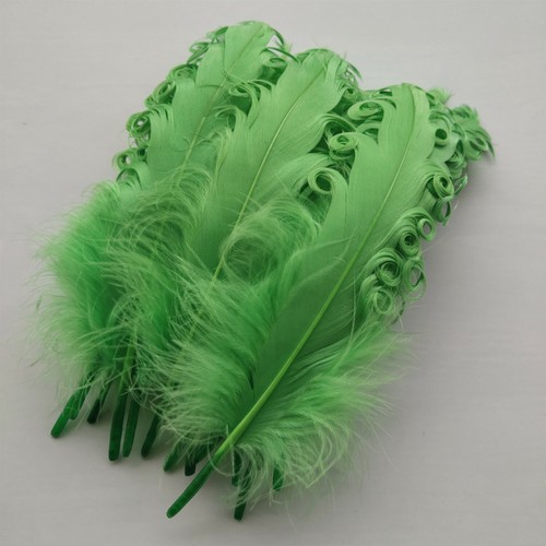 Novedad Venta 10-100 un rodado suave pluma de ganso 12-18 cm//5-7 pulgadas HAZLO TÚ MISMA Decoración