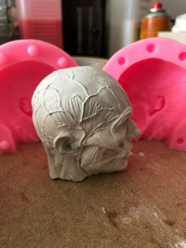 3D Anatomy Skull Silicone Fondant Chocolate Sugarcraft Clay Mold Baking Tool DIY 