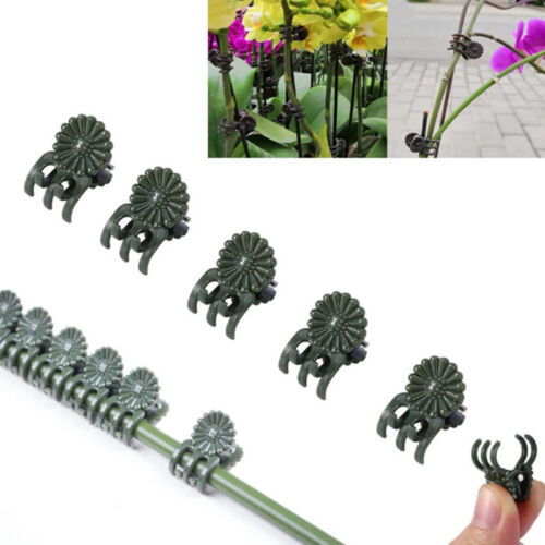 20//30//40Pcs Plant Support Daisy Garden Orchid Clips Vines Grow Upright Clip  TE