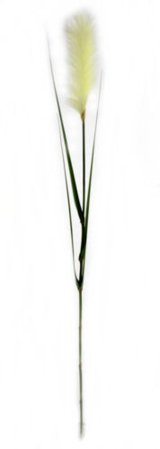 Kunst-Pflanze Pampas Wedel XXL 145cm Kunstblume Graeser Gesteck Bündel Bambus