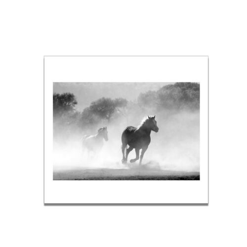 Art Poster Canvas Horse Gallop Animal Picture Bedroom Wall Kid Home Decor Gifts