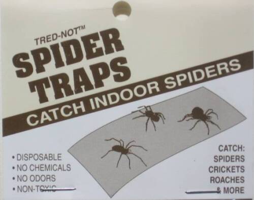 12//pack trednot Spider Traps//Pièges collants catch tuer des araignées dans votre maison