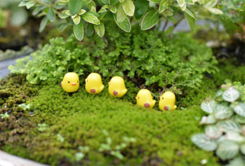 4 Pcs Yellow Chick Miniatures Fairy Garden Ornament Decor Figurine DIY Dollhouse